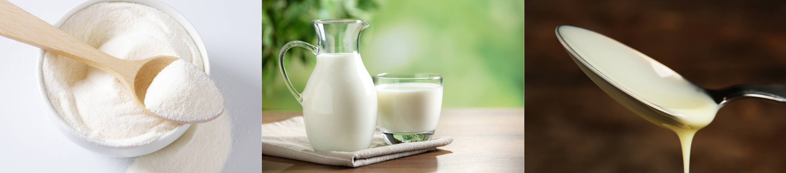 GDA propose du lait en poudre, liquide ou concentré à son catalogue