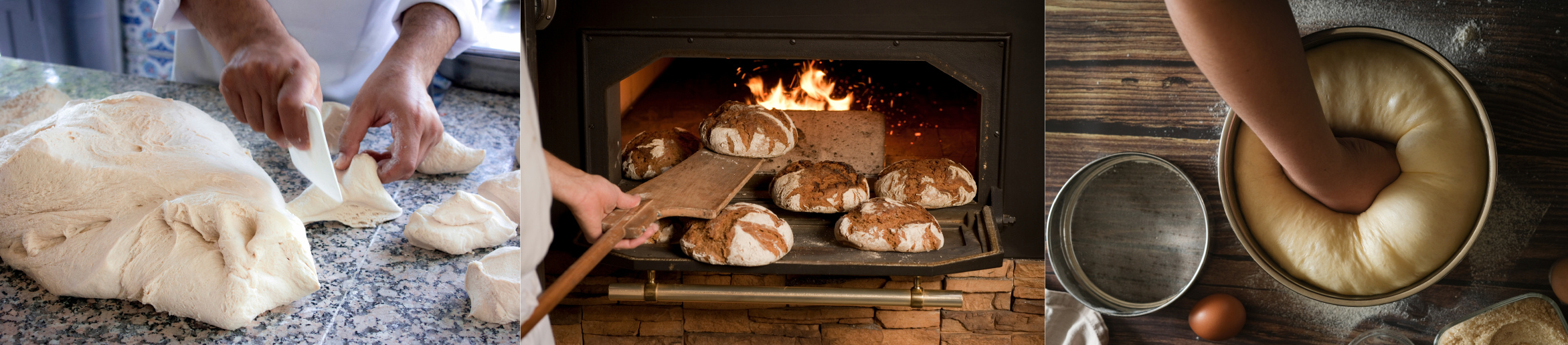 Les usages de la levure boulangère en boulangerie et pâtisserie