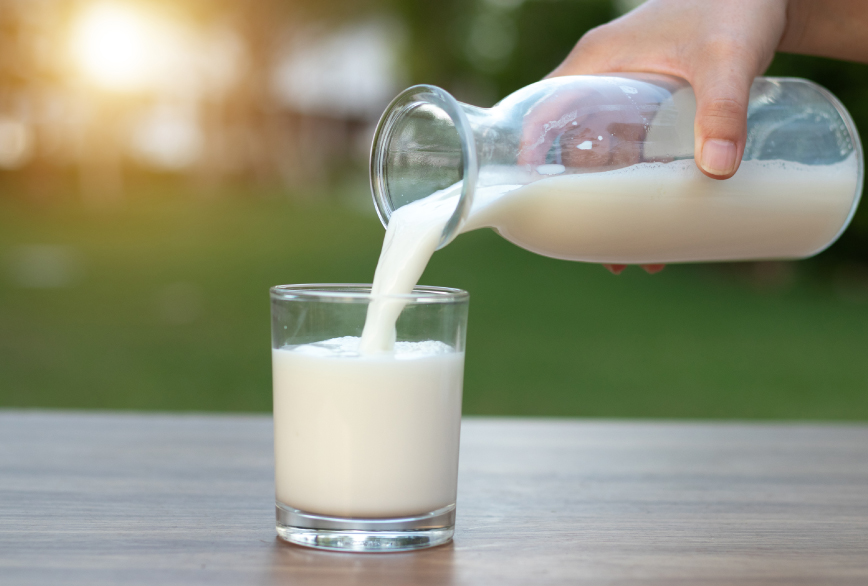 Le lait, matière première en boulangerie pâtisserie